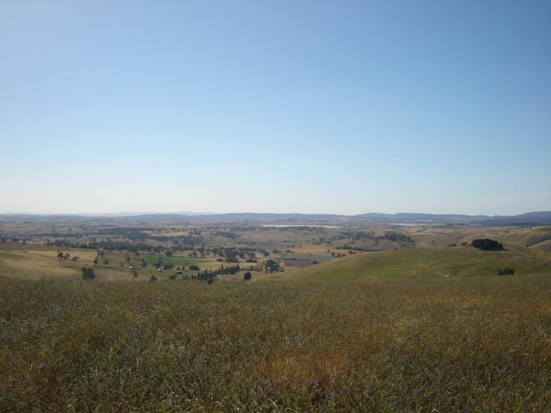 Panoramic Views to Mt Canobolas Picture 2