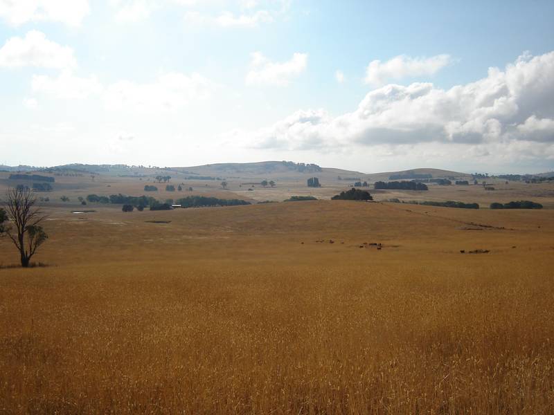 Fairview North, Moorilda Road, Moorilda Picture 3