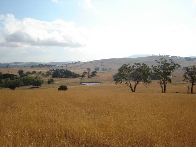 Fairview North, Moorilda Road, Moorilda Picture