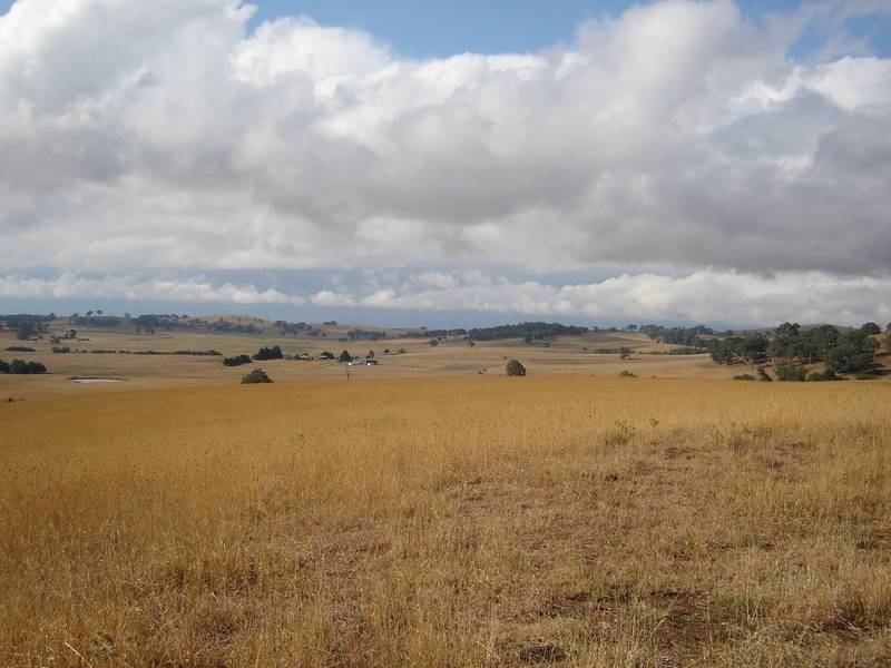 Fairview North, Moorilda Road, Moorilda Picture 2