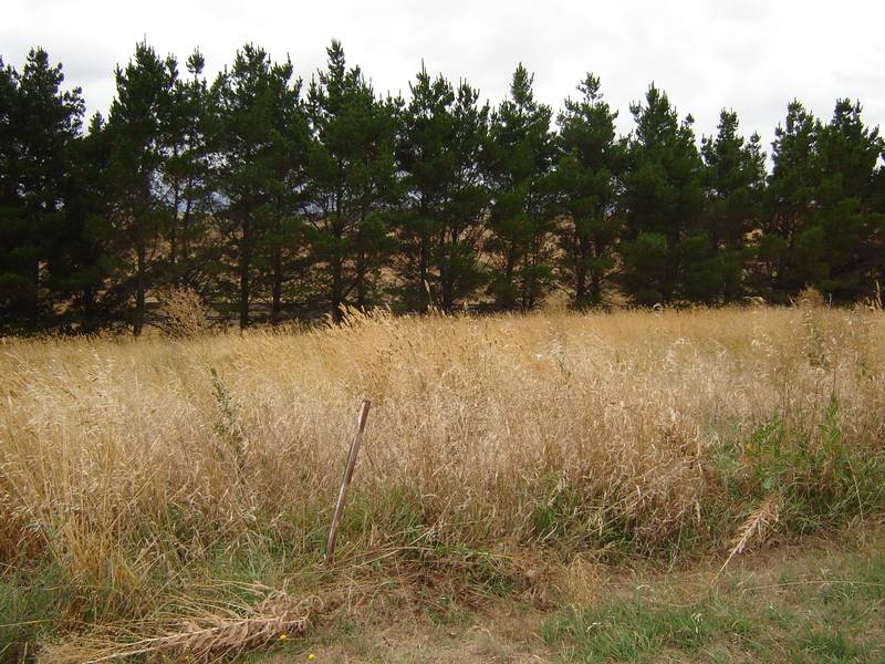 Reduced Price Picture 1