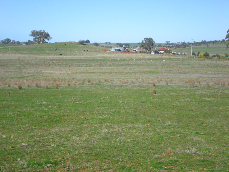 Lot 3, 365 Bentleys Lane, Millthorpe Picture 2