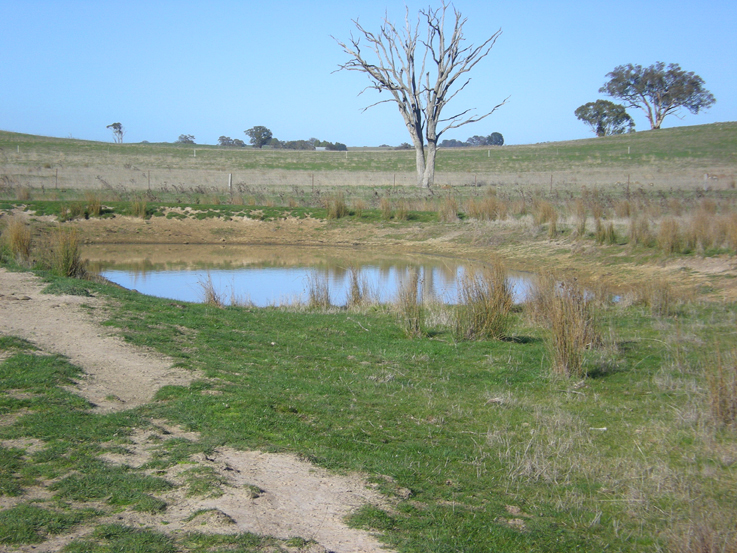 Lot 3, 365 Bentleys Lane, Millthorpe Picture 3