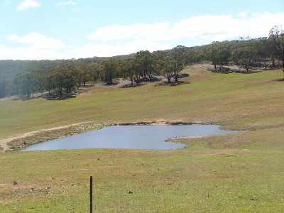 Coolumbala, Gowan Road, Gowan (Orange) Picture