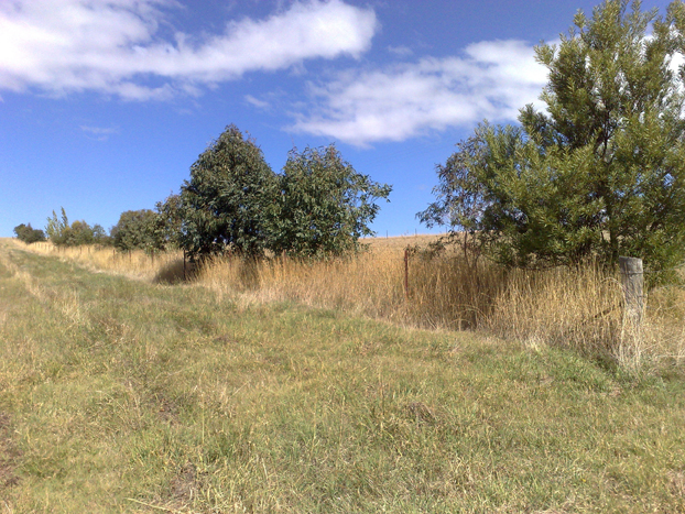 154 Favell Road, Lucknow Picture 2