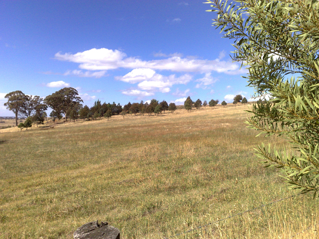 154 Favell Road, Lucknow Picture 3