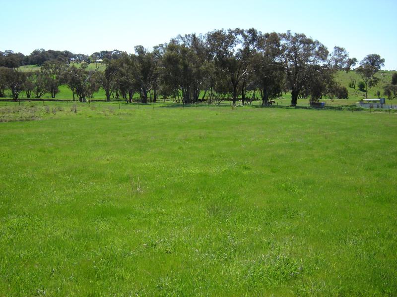 Lot 104, Westlynn Subdivision, Molong Picture 2