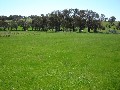 Lot 104, Westlynn Subdivision, Molong Picture