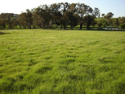 Lot 104, Westlynn Subdivision, Molong Picture