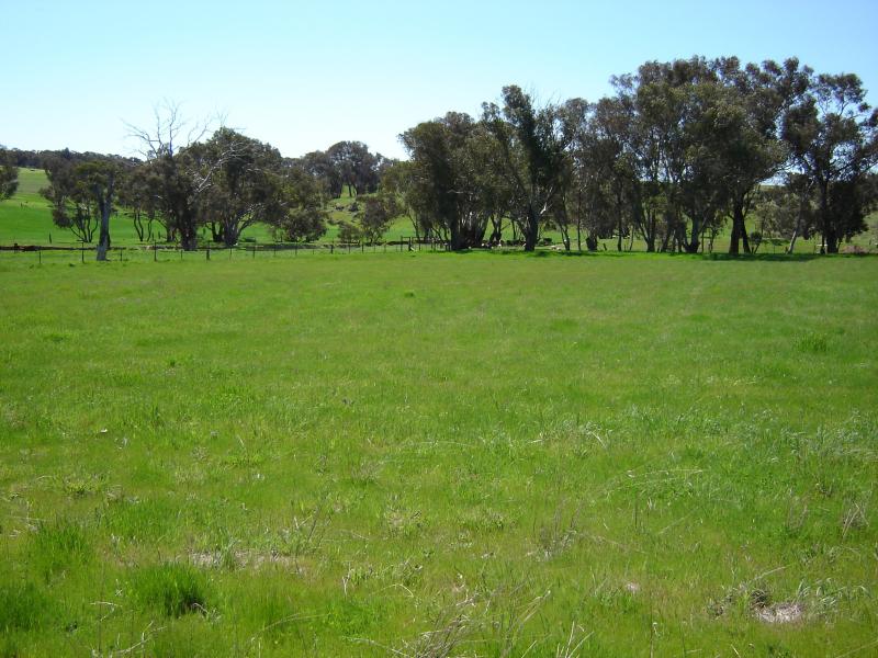 Lot 105, Westlynn Subdivision Picture 3