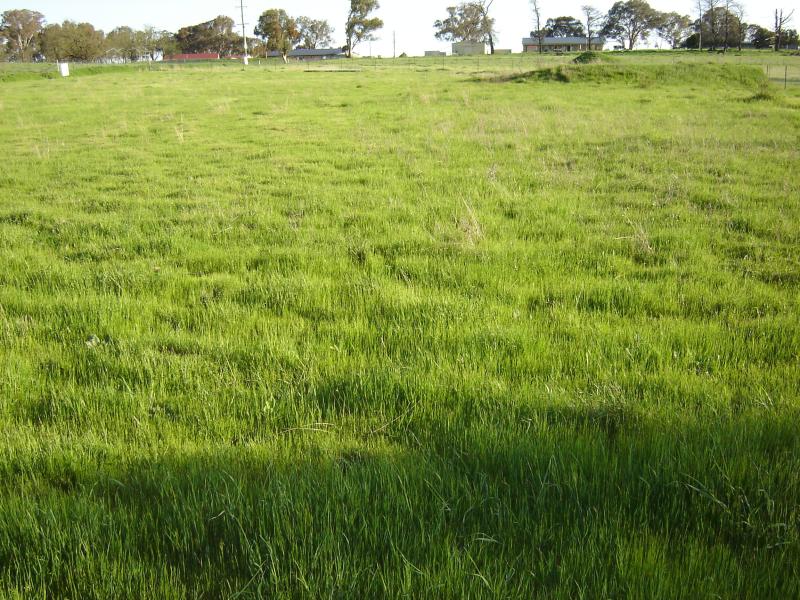 Lot 105, Westlynn Subdivision Picture 1