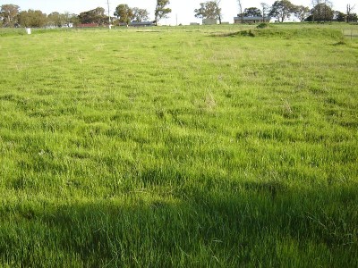 Lot 105, Westlynn Subdivision Picture