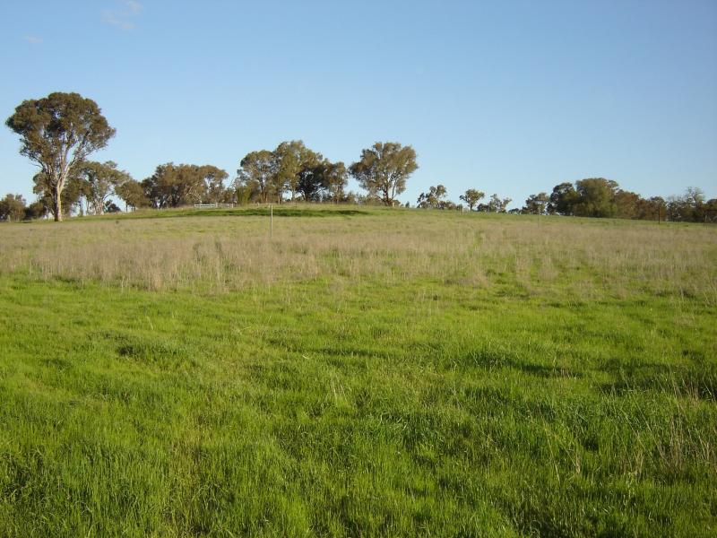 Lot 105, Westlynn Subdivision Picture 2
