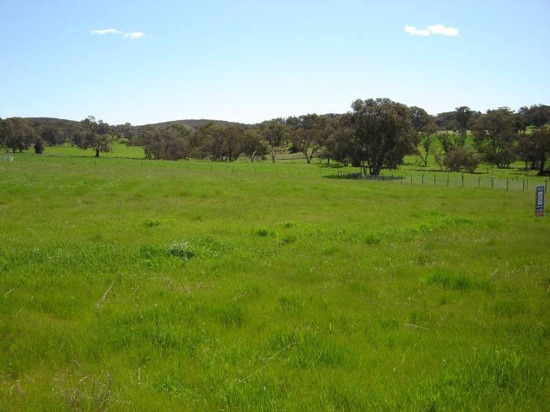 Lot 103, Westlynn Subdivision Picture 2