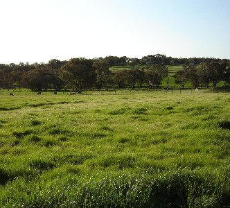 Lot 103, Westlynn Subdivision Picture