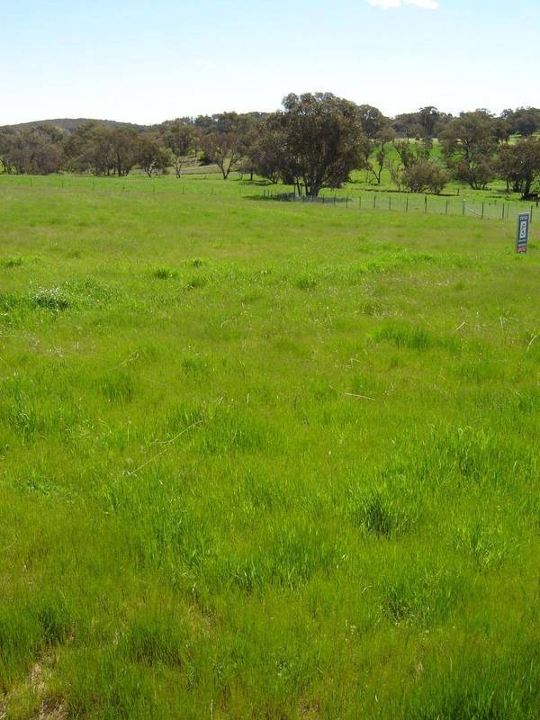 Lot 103, Westlynn Subdivision Picture 3
