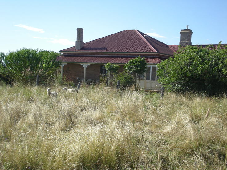 Edenglassie, Lot 3 Whiley Road, Spring Hill Picture 3