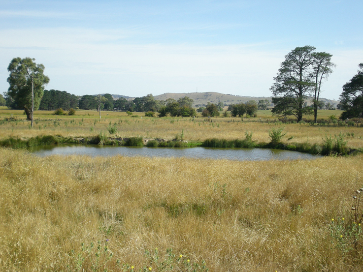 Edenglassie, Lot 3 Whiley Road, Spring Hill Picture 1