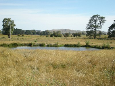 Edenglassie, Lot 3 Whiley Road, Spring Hill Picture