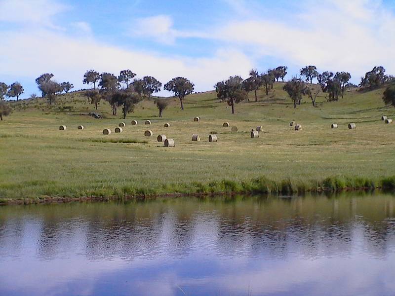 Coolumbala, Gowan Road, Gowan Picture 1