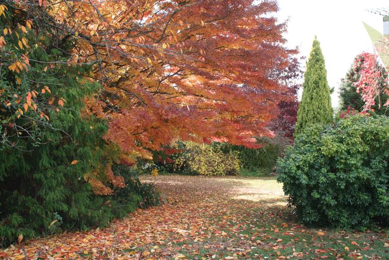 Lor 4, 80 Forbes Road, Orange Picture 3