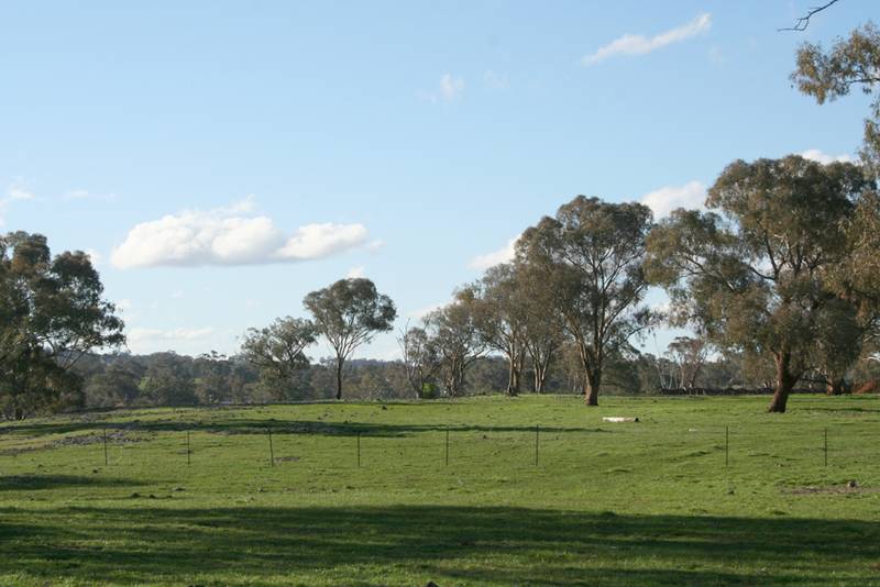 Cudal Gardens Estate, Cudal Picture 1