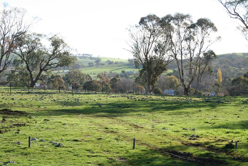 Cudal Gardens Estate, Cudal Picture 3