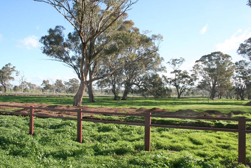 Cudal Gardens Estate, Cudal Picture 2