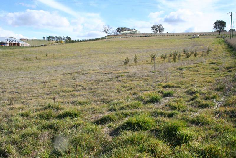 1 Thomas Kite Lane, Orange Picture 1