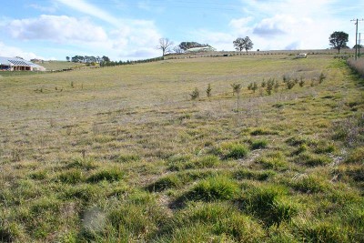 1 Thomas Kite Lane, Orange Picture
