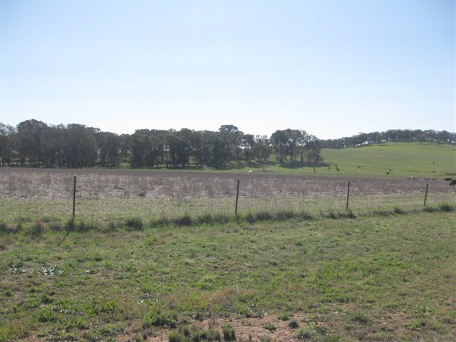 Lot 55 South Bowen Rd, Cargo Picture 1