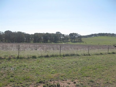 Lot 55 South Bowen Rd, Cargo Picture