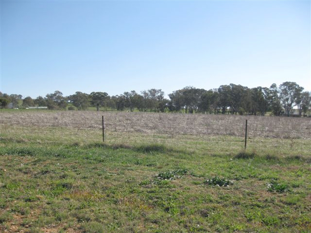 Lot 231 South Bowen Road, Cargo Picture 1