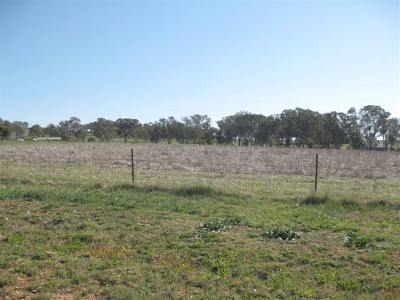 Lot 231 South Bowen Road, Cargo Picture