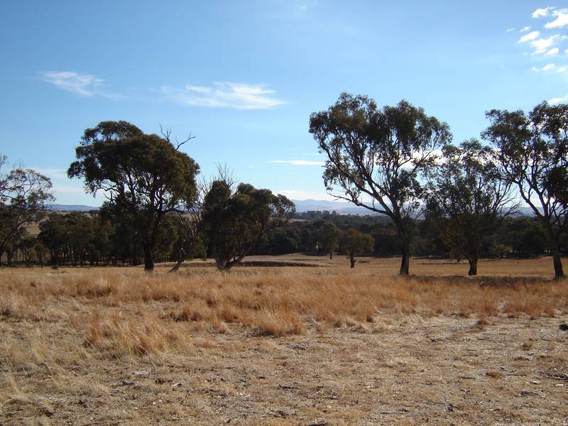 50 Kenny's Lane, Lyndhurst Picture 3