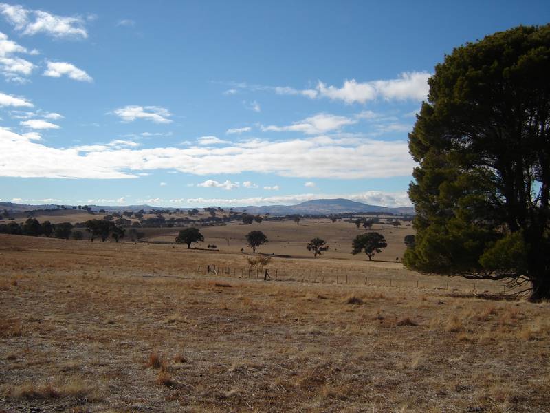 50 Kenny's Lane, Lyndhurst Picture 2