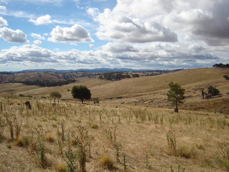 Panoramic Views Picture 1