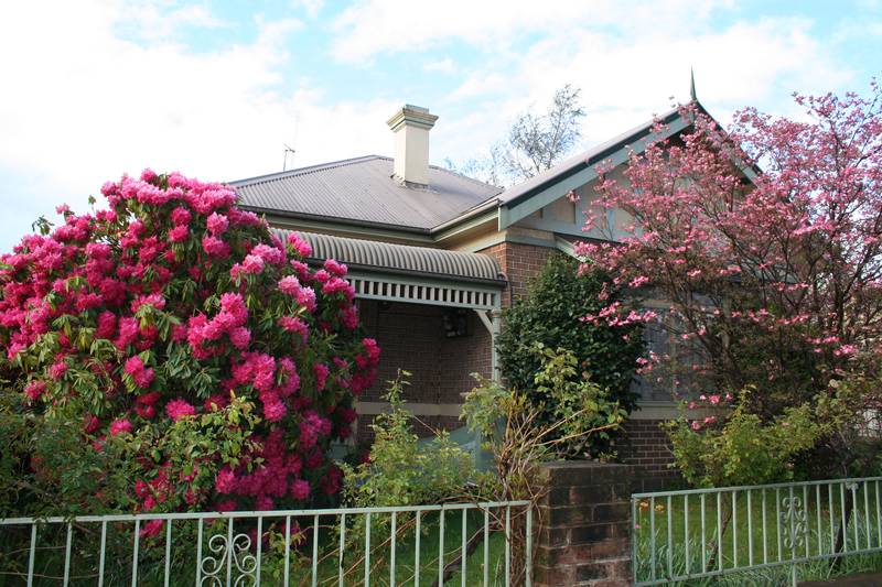 11 Summer Street, Orange Picture 1