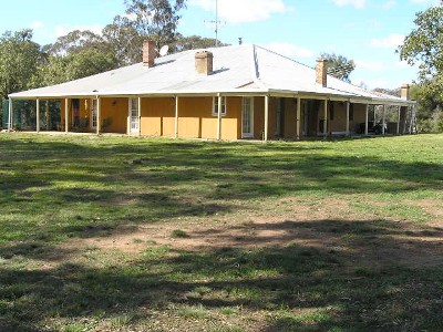 Palomine, Rocky Ponds Road, Cumnock Picture