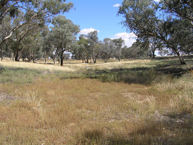 Lot 4 Stapletons Road, Molong Picture 1