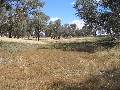 Lot 4 Stapletons Road, Molong Picture