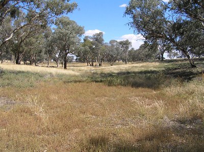 Lot 4 Stapletons Road, Molong Picture