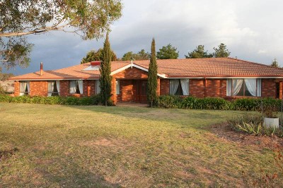 213 East Guyong Road, East Guyong Picture 213 East Guyong Road, East Guyong Picture