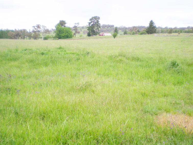 213 East Guyong Road, East Guyong Picture 3