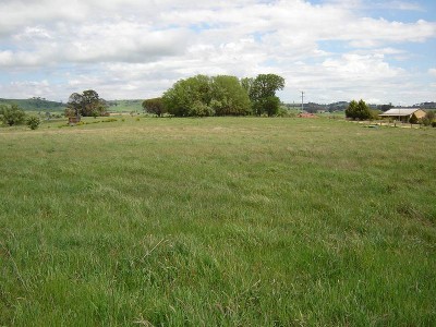 10 Acres (4.05 h.a) Picture