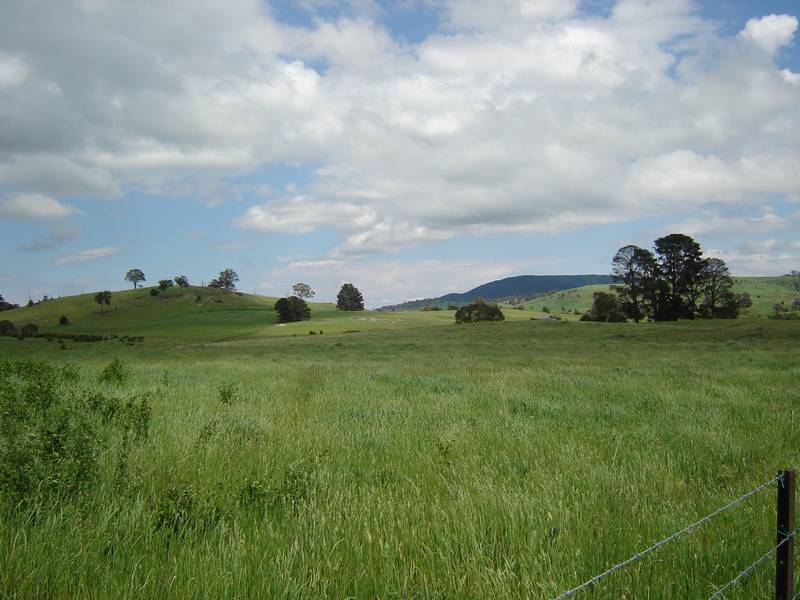 Great Rural Property Picture 3