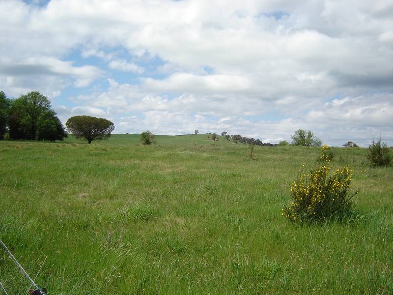 Great Rural Property Picture 2