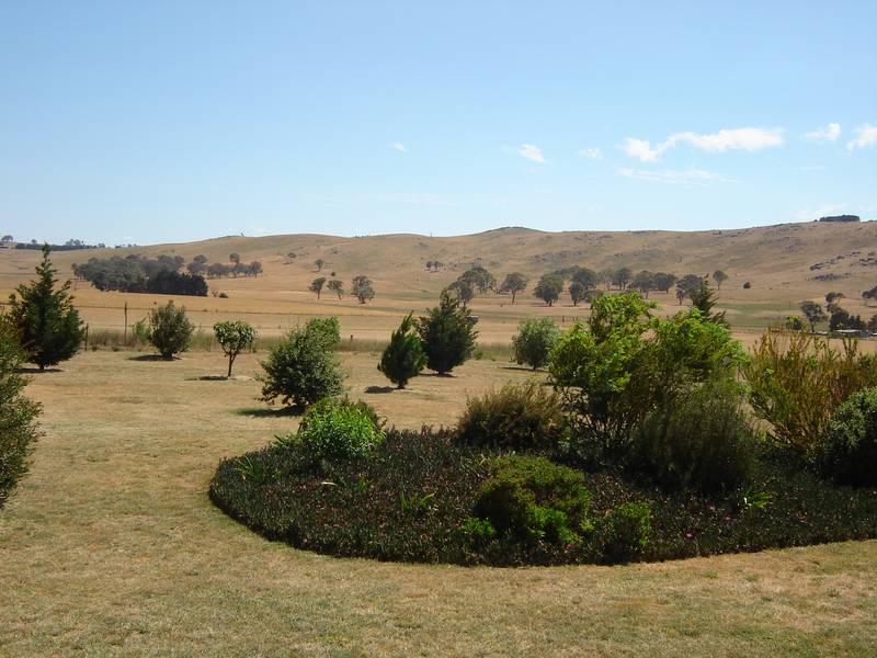 355 Browns Creek Road, Blayney Picture 2