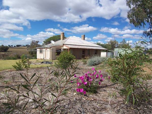 Yullundry Creek Cottage, Yeoval Road, Cumnock Picture 2