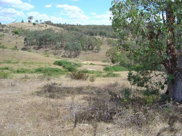 1217 Bundalah Road, Euchareena Picture 2